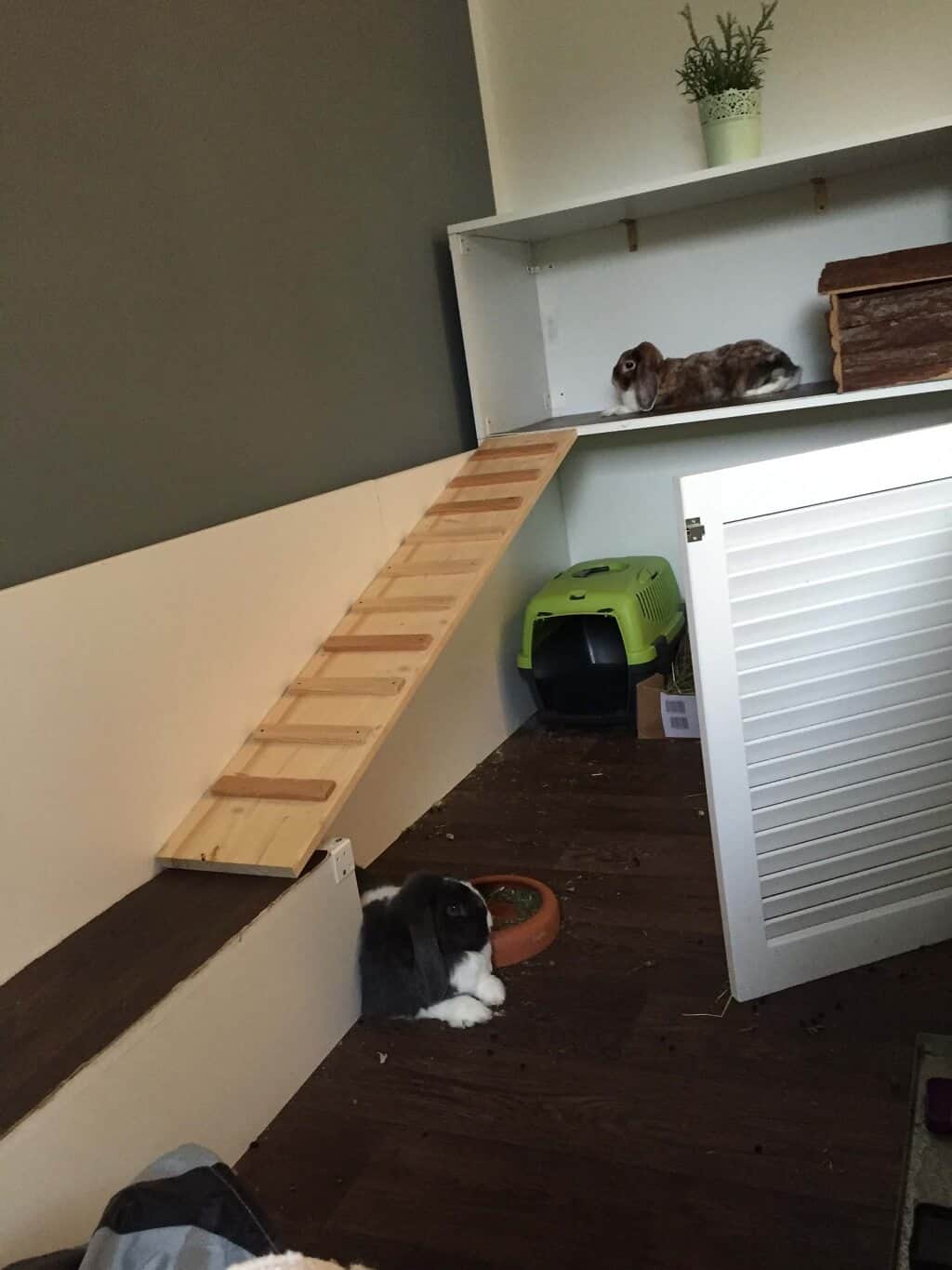 kaninchenstall selber gebaut kaninchenstall selber gebaut