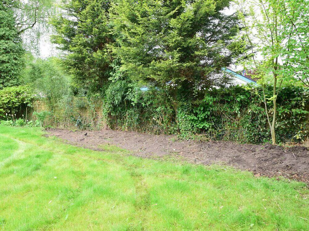 der garten ist von großen bambuswurzeln befreit der garten ist von großen bambuswurzeln befreit