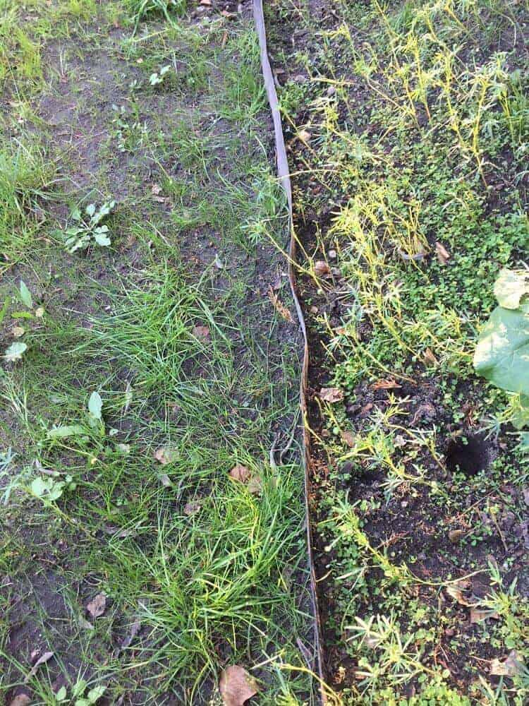 die bambussperre ist fertig eingesetzt die bambussperre ist fertig eingesetzt