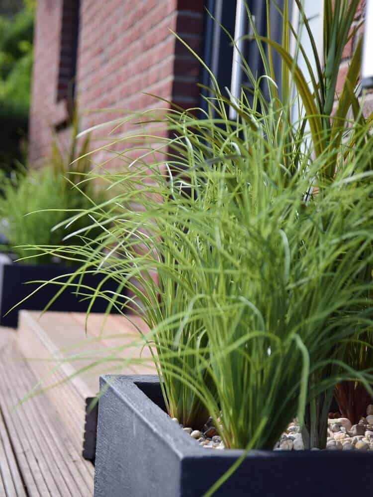 eingangsbereich gestalten treppe kunstpflanzen lockern den hauseingang auf und gestalten ihn freundlich eingangsbereich gestalten treppe kunstpflanzen lockern den hauseingang auf und gestalten ihn freundlich