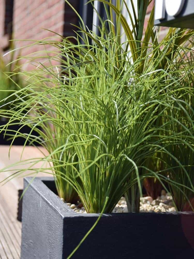 pflanzkübl und kunstpflanzen wirken super im eingangsbereich pflanzkübl und kunstpflanzen wirken super im eingangsbereich