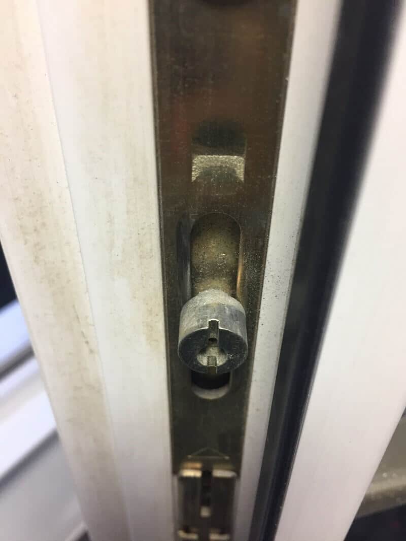 pilzzapfen pilzzapfen