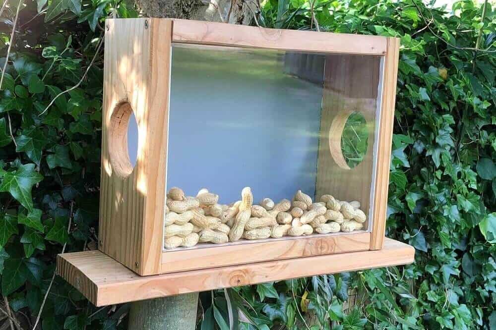 bauanleitung eichhörnchen futterhaus futterkasten selber bauen ist gar nicht schwer bauanleitung eichhörnchen futterhaus futterkasten selber bauen ist gar nicht schwer