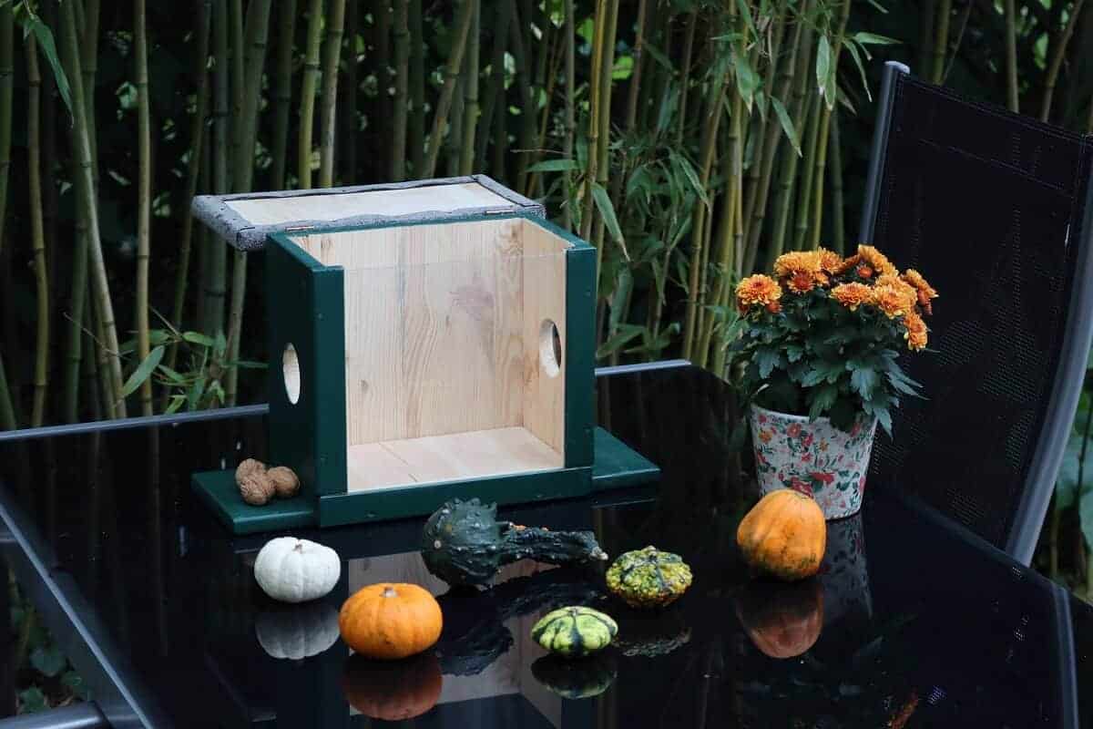 das futterhaus für die eichhörnchen hat einen deckel zum öffnen das futterhaus für die eichhörnchen hat einen deckel zum öffnen