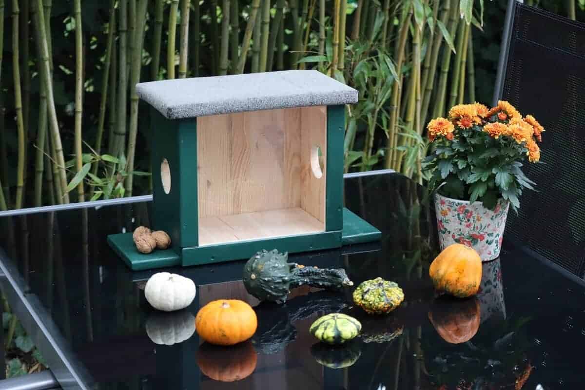 das selber gebaute eichhörnchenfutterhaus mit einem dach das selber gebaute eichhörnchenfutterhaus mit einem dach