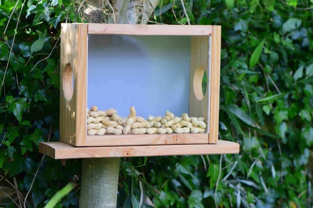eichhörnchen futterhaus selber bauen bauanleitung eichhörnchen futterhaus selber bauen bauanleitung