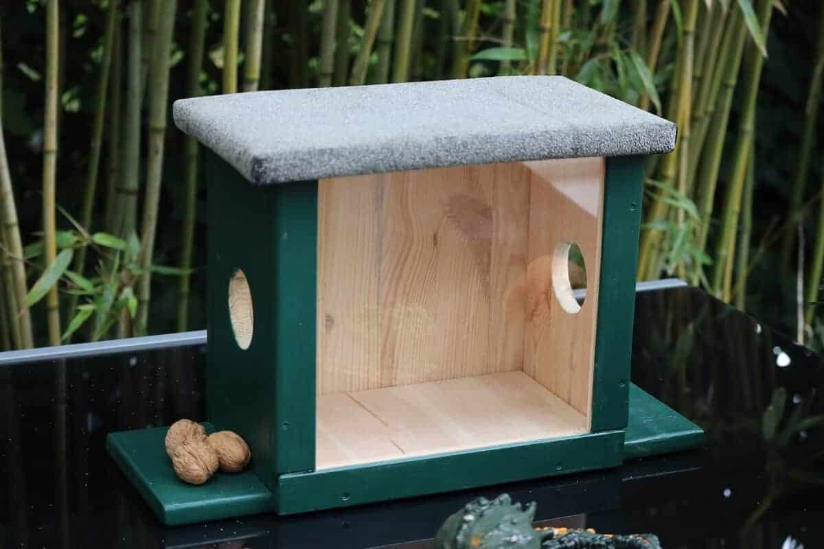 eichhörnchenhaus für nüsse im winter eichhörnchenhaus für nüsse im winter