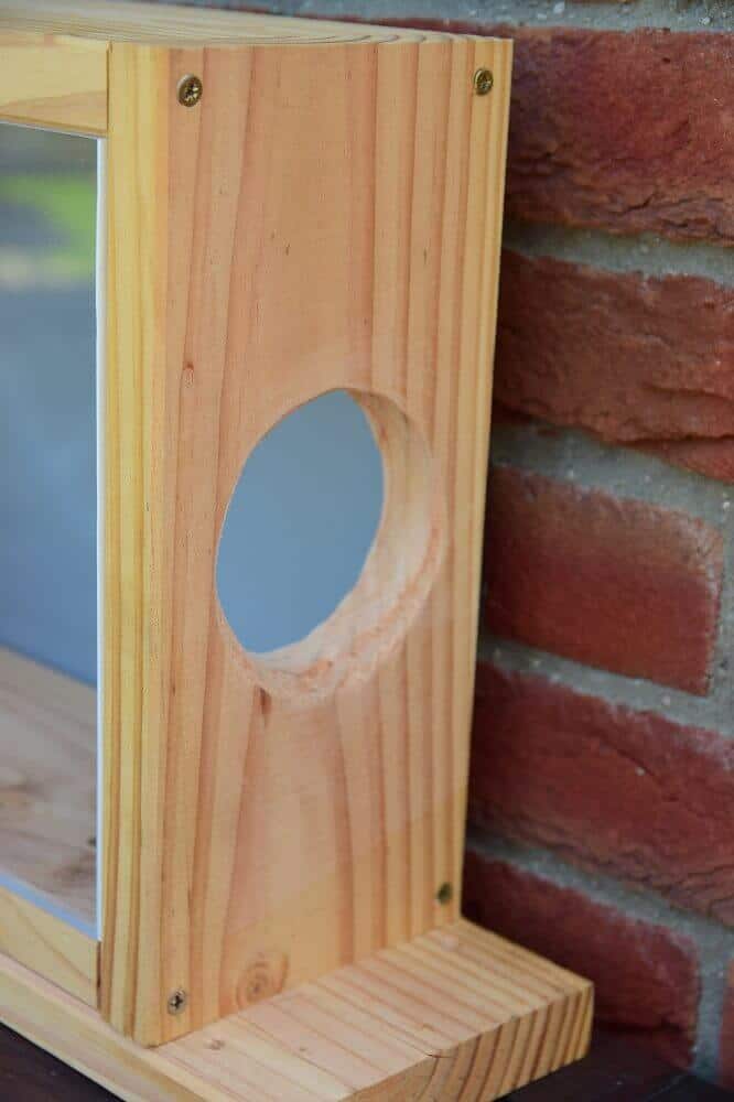 einstieg für das eichhörnchen in den selbstgebauten futterkasten einstieg für das eichhörnchen in den selbstgebauten futterkasten