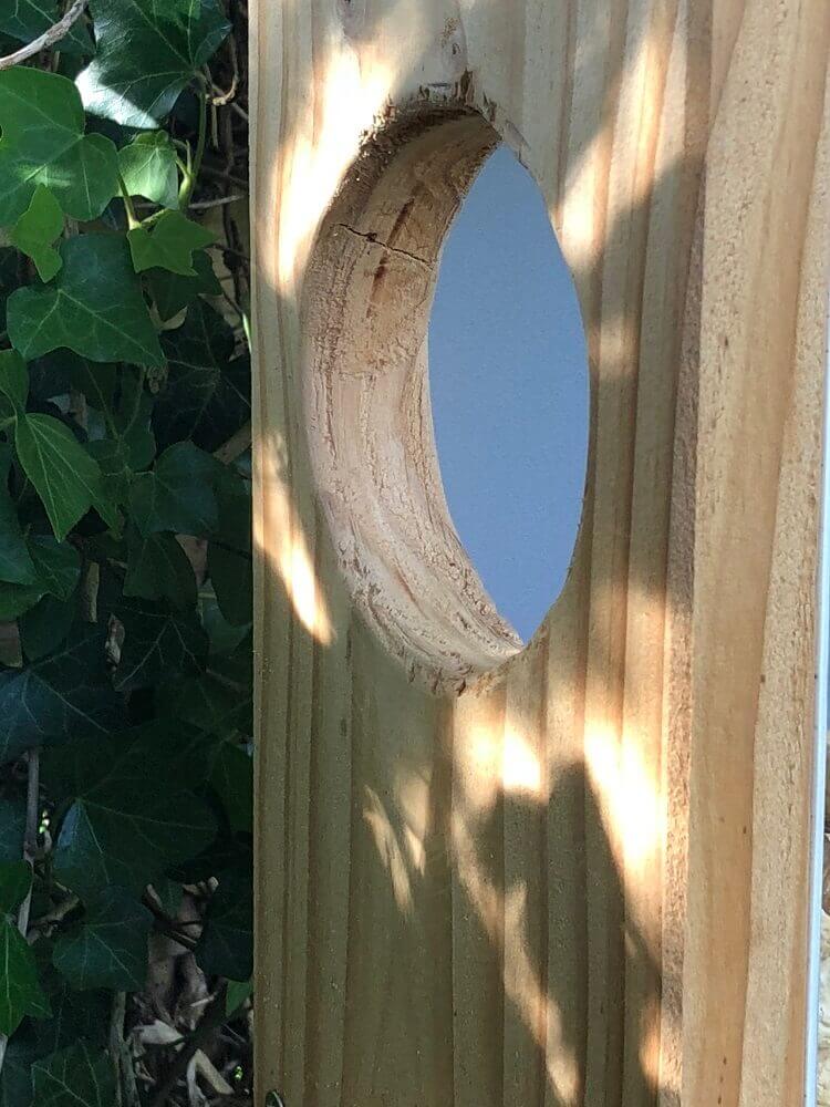einstieg für die eichhörnchen in das selber gebaute futterhaus einstieg für die eichhörnchen in das selber gebaute futterhaus
