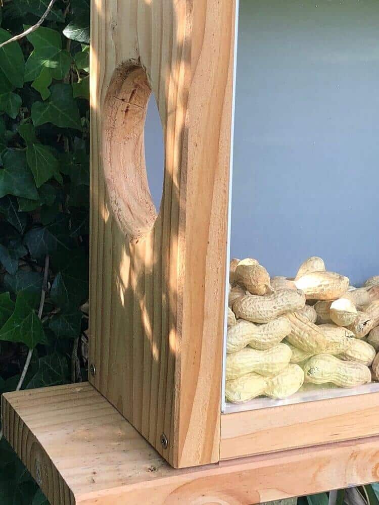 futterhaus für eichhörnchen selber bauen in minuten futterhaus für eichhörnchen selber bauen in minuten