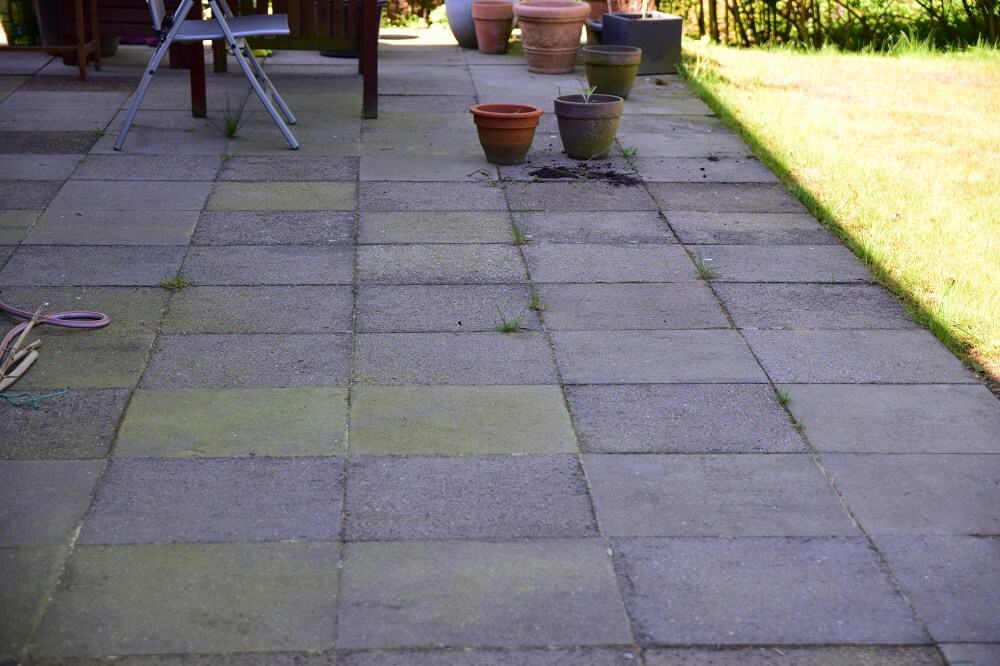 terrasse mit moos und algen terrasse mit moos und algen