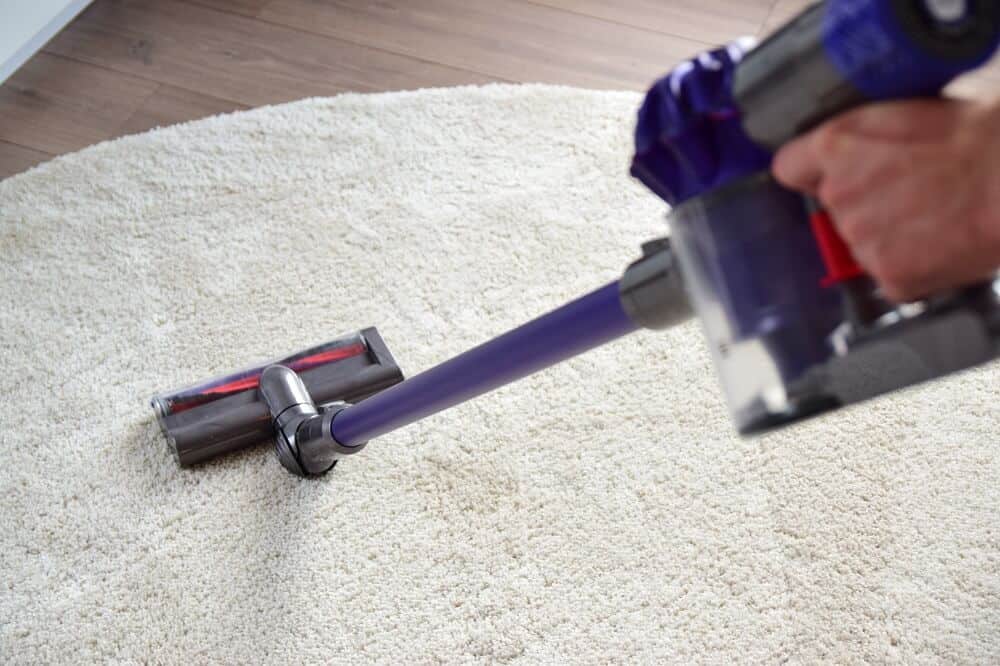 tierhaare entfernen mit dem dyson v animalpro tierhaare entfernen mit dem dyson v animalpro