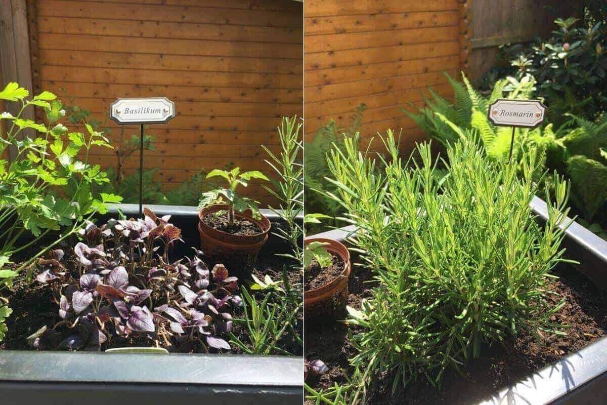 kräuterbeet anlegen kreative ideen und hilfreiche tipps