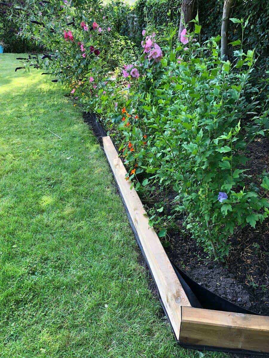 die beeteinfassung nimmt formen an wir legen die gartenschwellen entlang der bambussperre damit diese nicht mehr sichtbar ist die beeteinfassung nimmt formen an wir legen die gartenschwellen entlang der bambussperre damit diese nicht mehr sichtbar ist