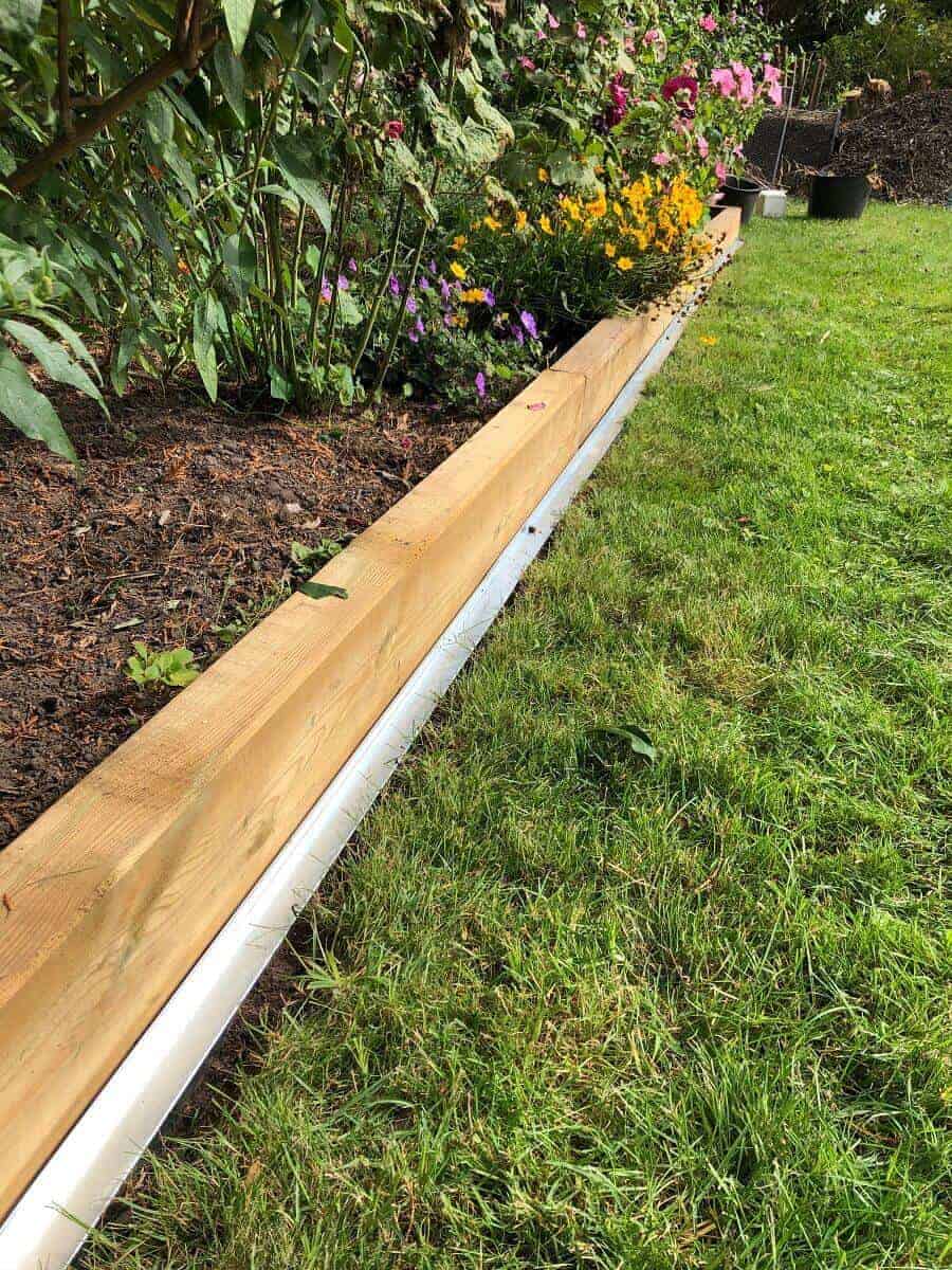 die neue rasenkante passt ideal an der beeteinfassung die neue rasenkante passt ideal an der beeteinfassung