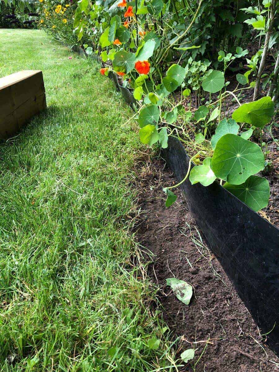 dort wo wir die gartenschwellen hinsetzen wollten haben wir das gras entfernt dort wo wir die gartenschwellen hinsetzen wollten haben wir das gras entfernt
