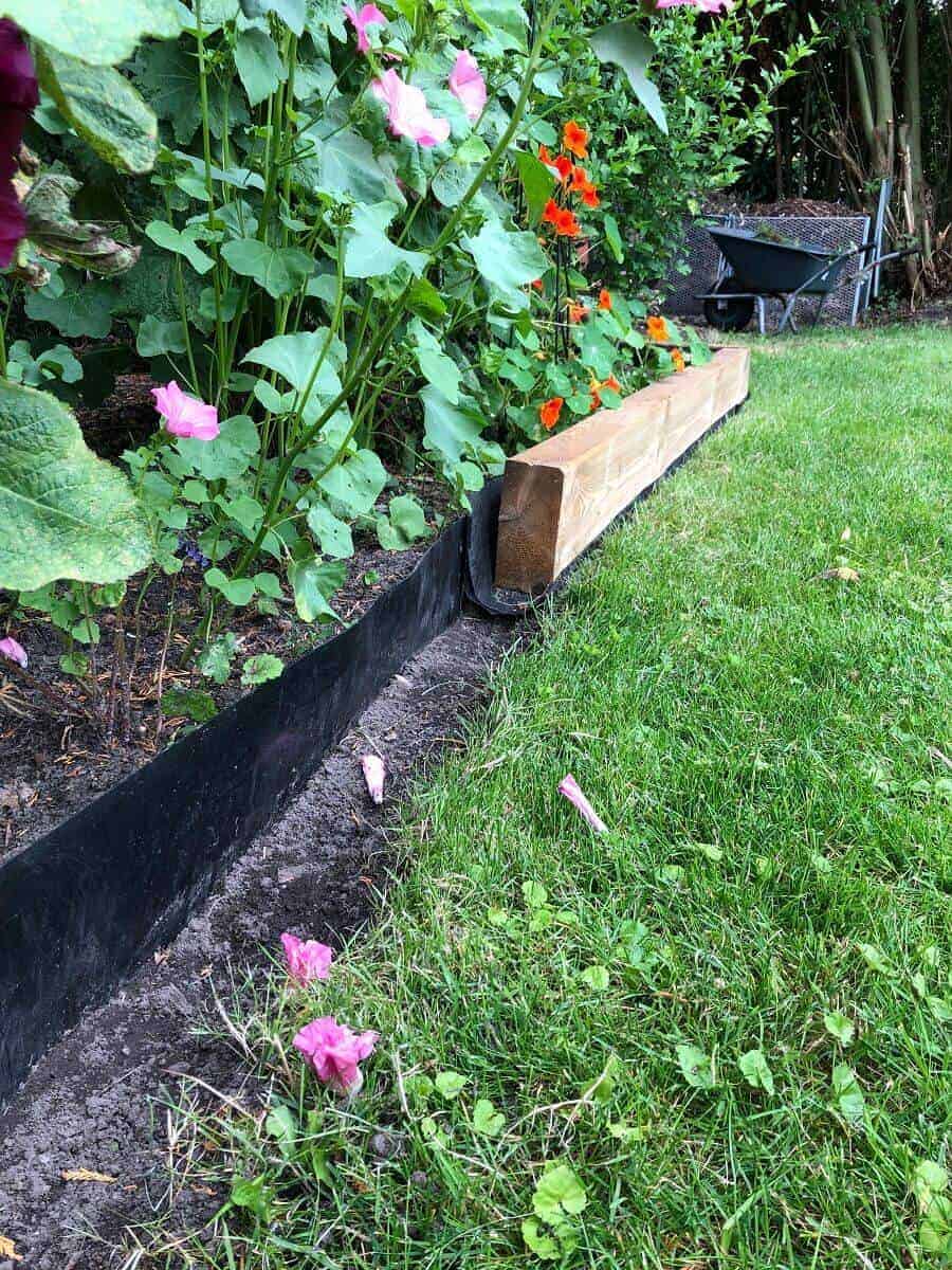 entlang der rhizomsperre haben wir unsere diy beeteinfassung aus holz gesetzt damit man die plane nicht mehr sieht entlang der rhizomsperre haben wir unsere diy beeteinfassung aus holz gesetzt damit man die plane nicht mehr sieht