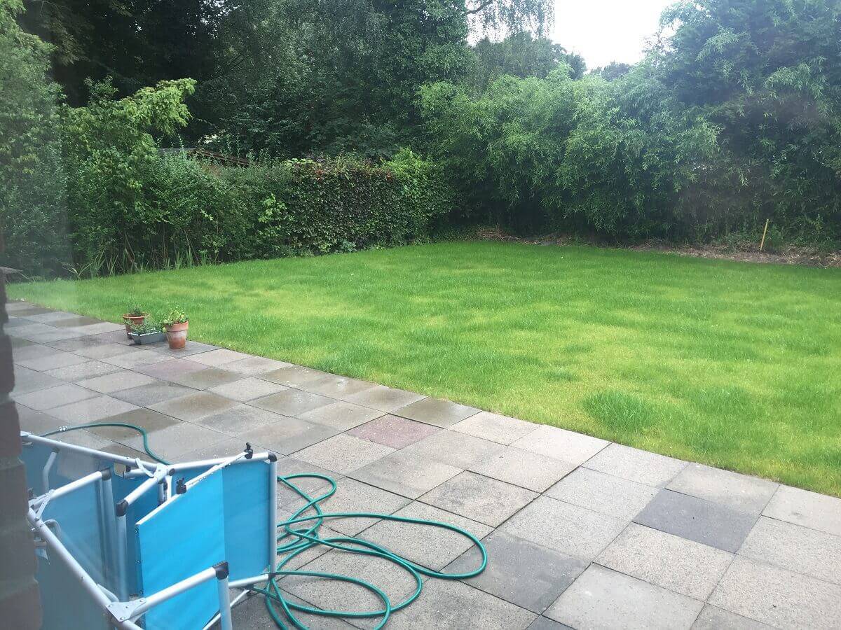 frischer rasen aber hinten noch immer alles voll mit bambus frischer rasen aber hinten noch immer alles voll mit bambus