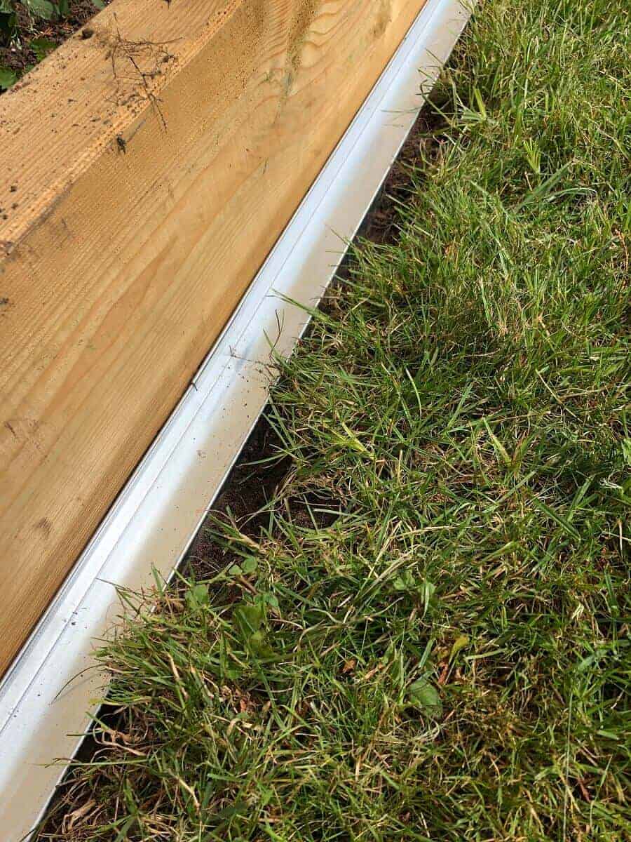 rasenkanten aus metall sind super einfach verbaut und sehen toll aus rasenkanten aus metall sind super einfach verbaut und sehen toll aus