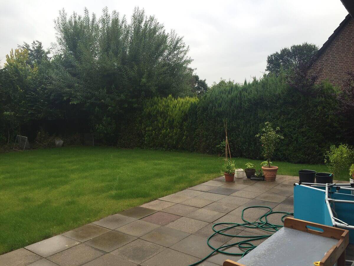 terrasse und rasen sind vorhanden hinten wuchert es aber noch terrasse und rasen sind vorhanden hinten wuchert es aber noch