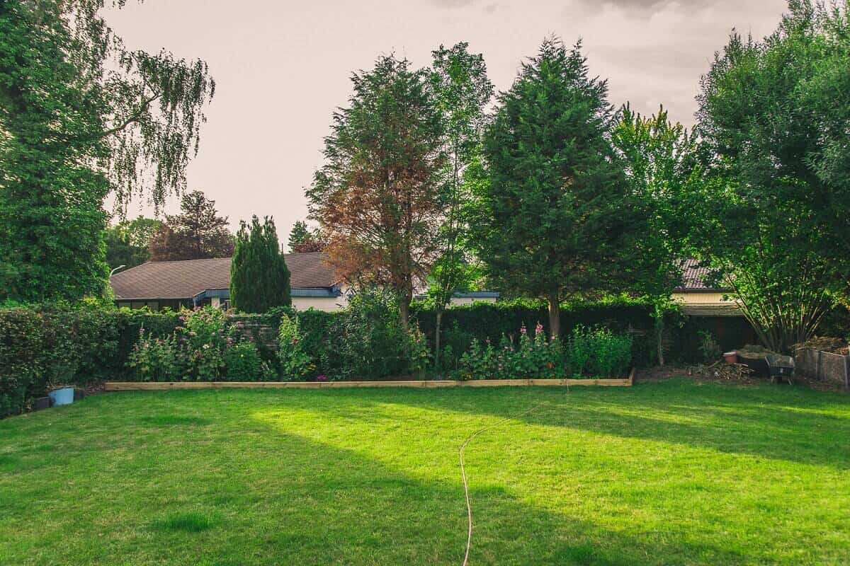 unsere selbsgebaute beeteinfassung holz ist unser absolutes highlight im garten und setzt die stauden super in szene unsere selbsgebaute beeteinfassung holz ist unser absolutes highlight im garten und setzt die stauden super in szene