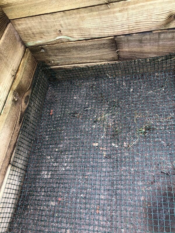 das schutzgitter vor schädlingen haben wir im hochbeet festgetackert das schutzgitter vor schädlingen haben wir im hochbeet festgetackert