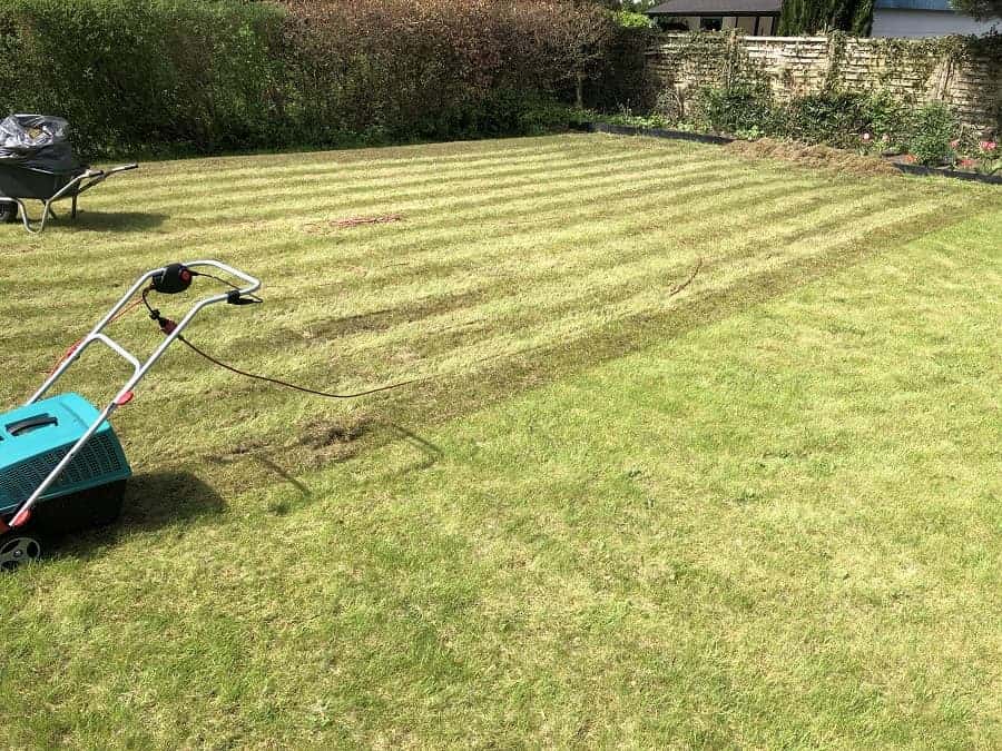 der elektrische vertikutierer nimmt einem sehr viel arbeit ab und erleichtert das rasen vertikutieren enorm Rasen vertikutieren wie oft - der elektrische vertikutierer nimmt einem sehr viel arbeit ab und erleichtert das rasen vertikutieren enorm