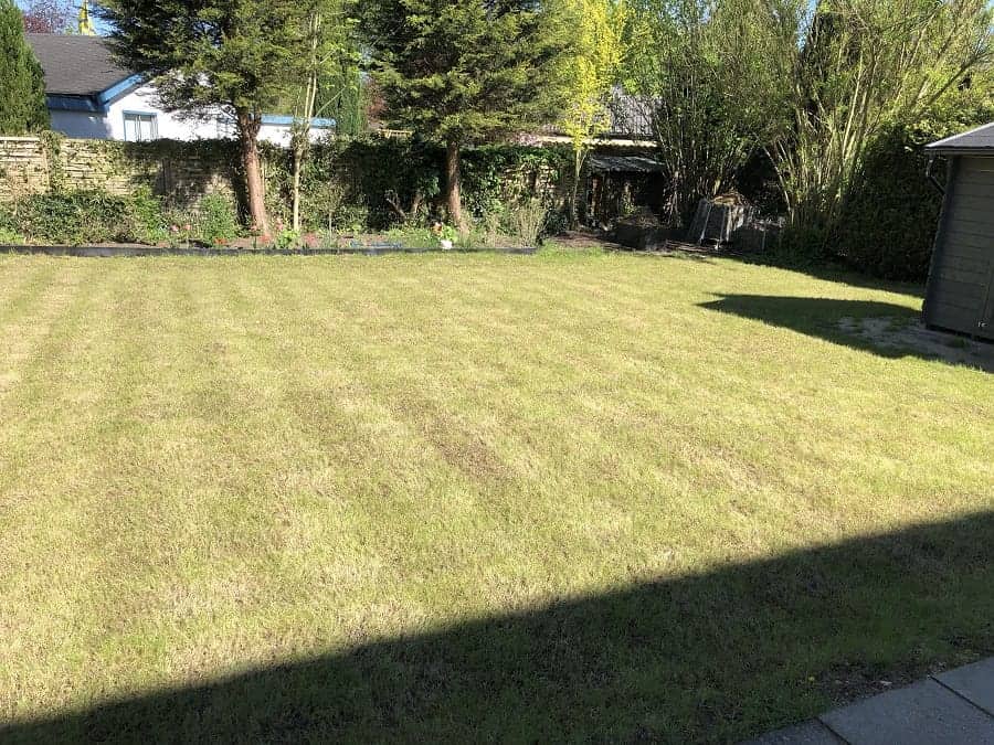 mit dem elektrischen rasenvertikutierer geht das vertikutieren super einfach und ist sehr schnell erledigt Rasen vertikutieren Zeitpunkt - mit dem elektrischen rasenvertikutierer geht das vertikutieren super einfach und ist sehr schnell erledigt