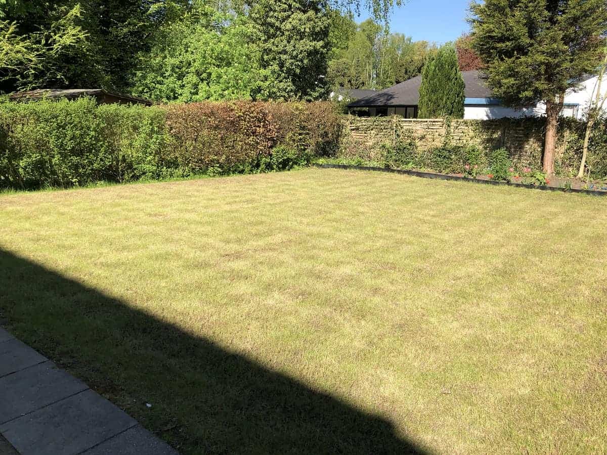 Wann ist der richtige Zeitpunkt zum Rasen vertikutieren?