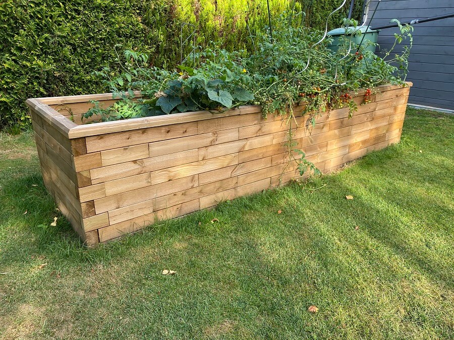 Im Hochbeet kรถnnen die Tomaten toll wachsen und gedeihen, wenn man den richtigen Standort mit viel Licht und Sonne ausgewรคhlt hat