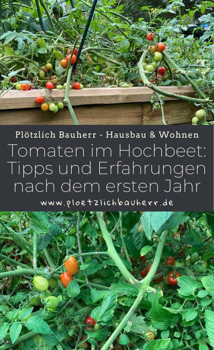 Tomaten im Hochbeet - Tipps und Erfahrungen nach dem ersten Jahr