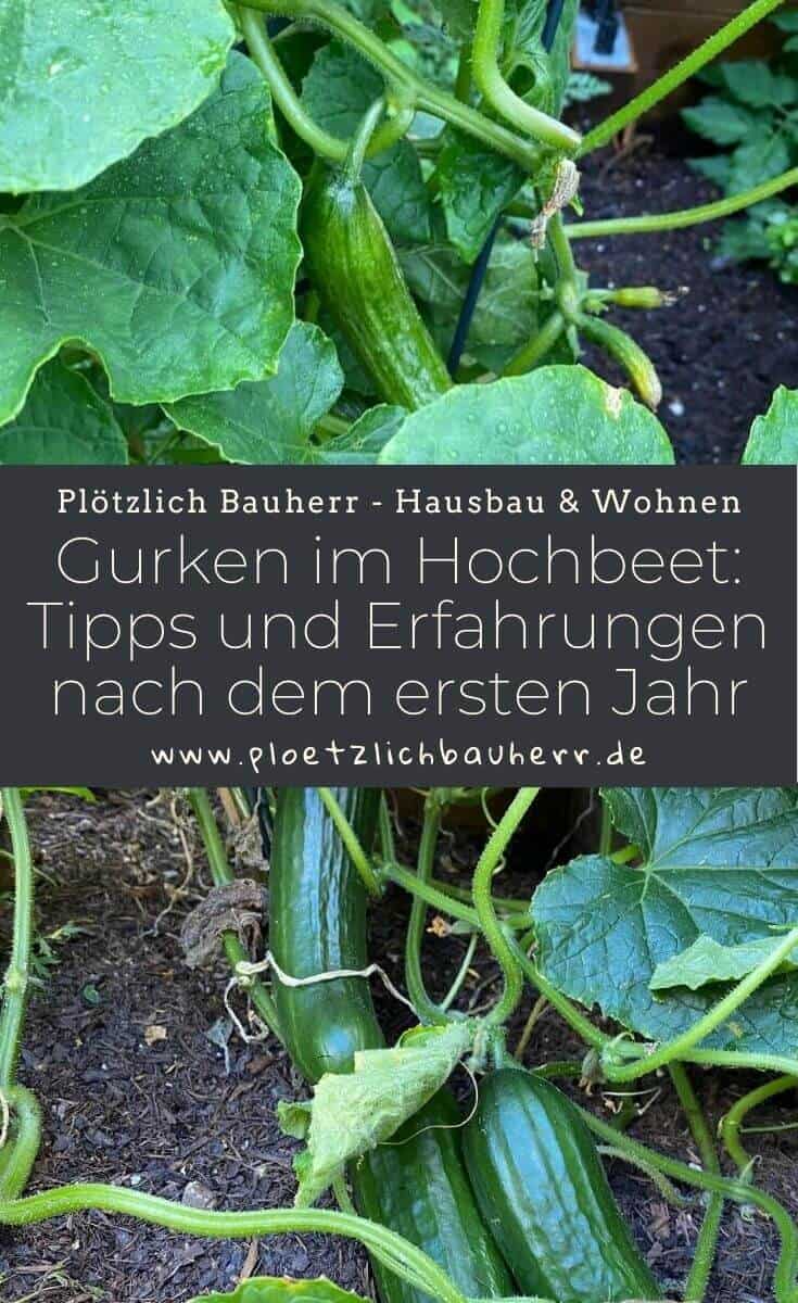 Gurken im Hochbeet - Tipps und Erfahrungen nach dem ersten Jahr