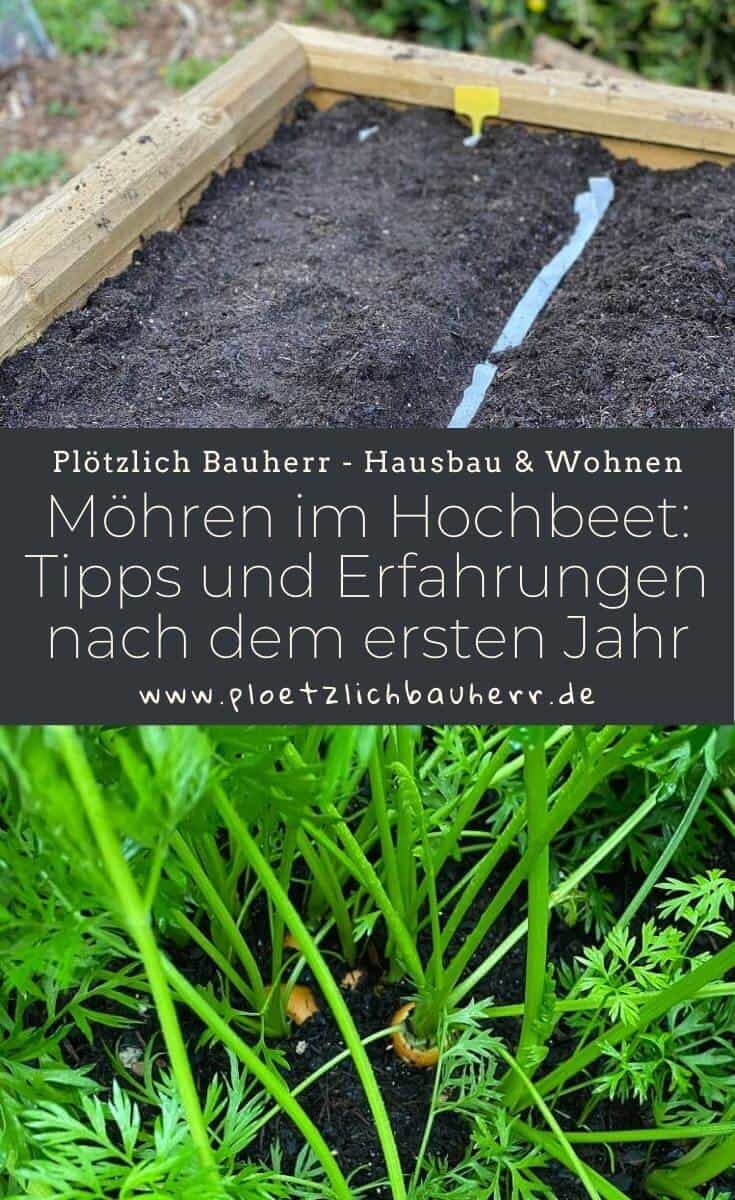 Möhren im Hochbeet - Tipps und Erfahrungen nach dem ersten Jahr zu unseren Karotten im Hochbeet