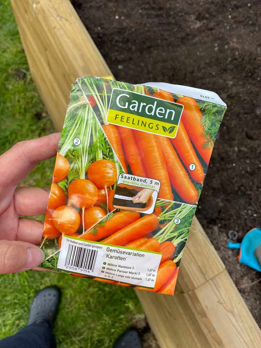 Wir haben Saatgut für verschiedene Karottensorten verwendet und die Möhren im Hochbeet angepflanzt