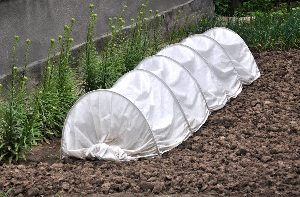 Folientunnel - auch Mini-Gewächshaus genannt - ist gut geeignet, um Pflanzen vor leichtem Frost und Schnecken zu beschützen