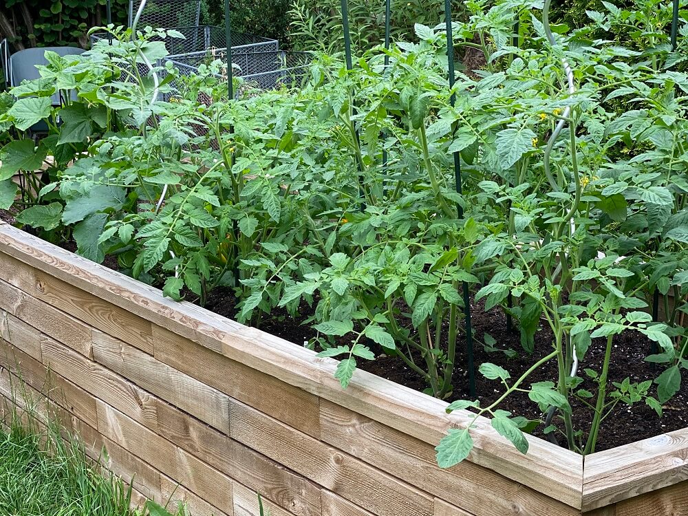 Naschgarten anlegen und gestalten - Ideen, Tipps zum Pflanzplan - Auch für den Balkon geeignet