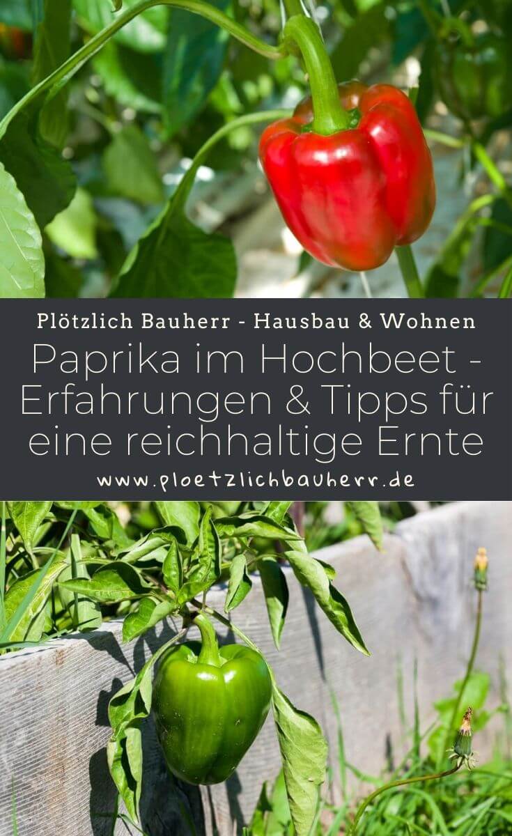 Paprika im Hochbeet - Erfahrungen & Tipps für eine reichhaltige Ernte