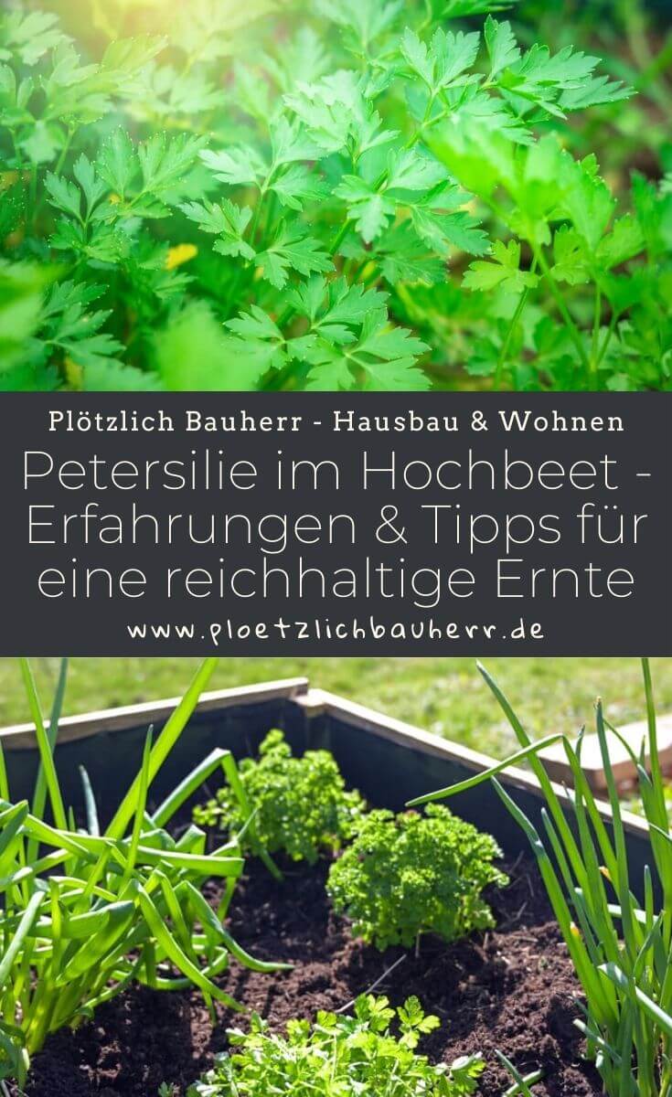 Petersilie im Hochbeet - Erfahrungen & Tipps für eine reichhaltige Ernte