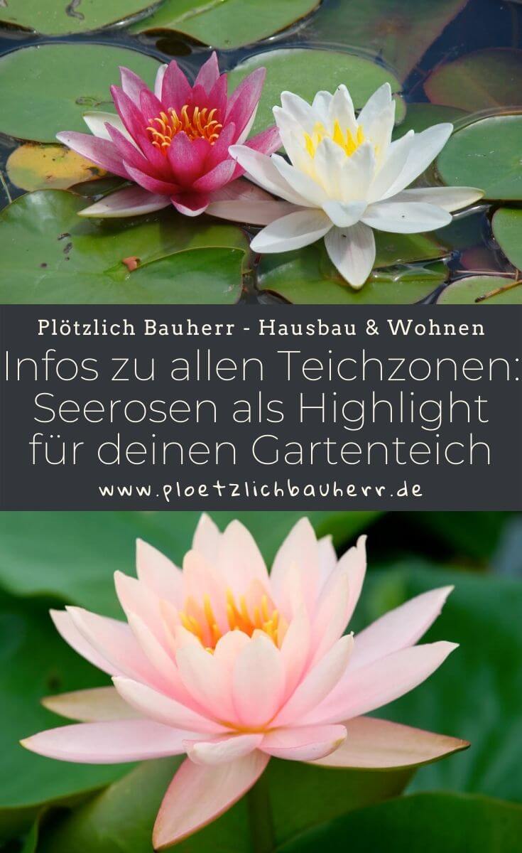 Infos zu allen Teichzonen - Seerosen als Highlight für deinen Gartenteich