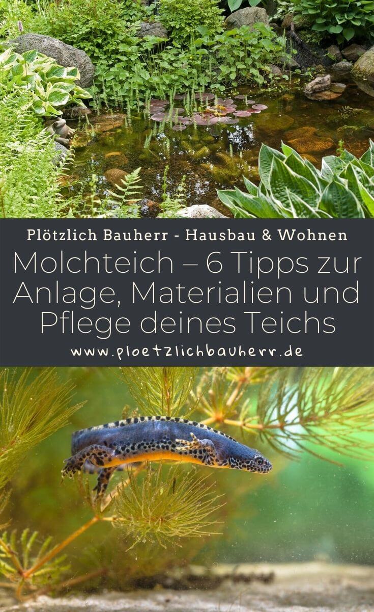 Molchteich – 6 Tipps zur Anlage, Materialien und Pflege deines Teichs