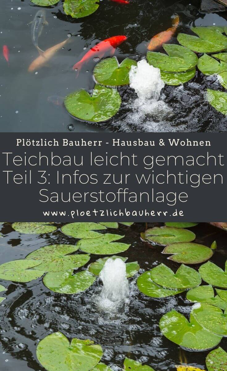 Teichbau leicht gemacht Teil 3 - Infos zur wichtigen Sauerstoffanlage