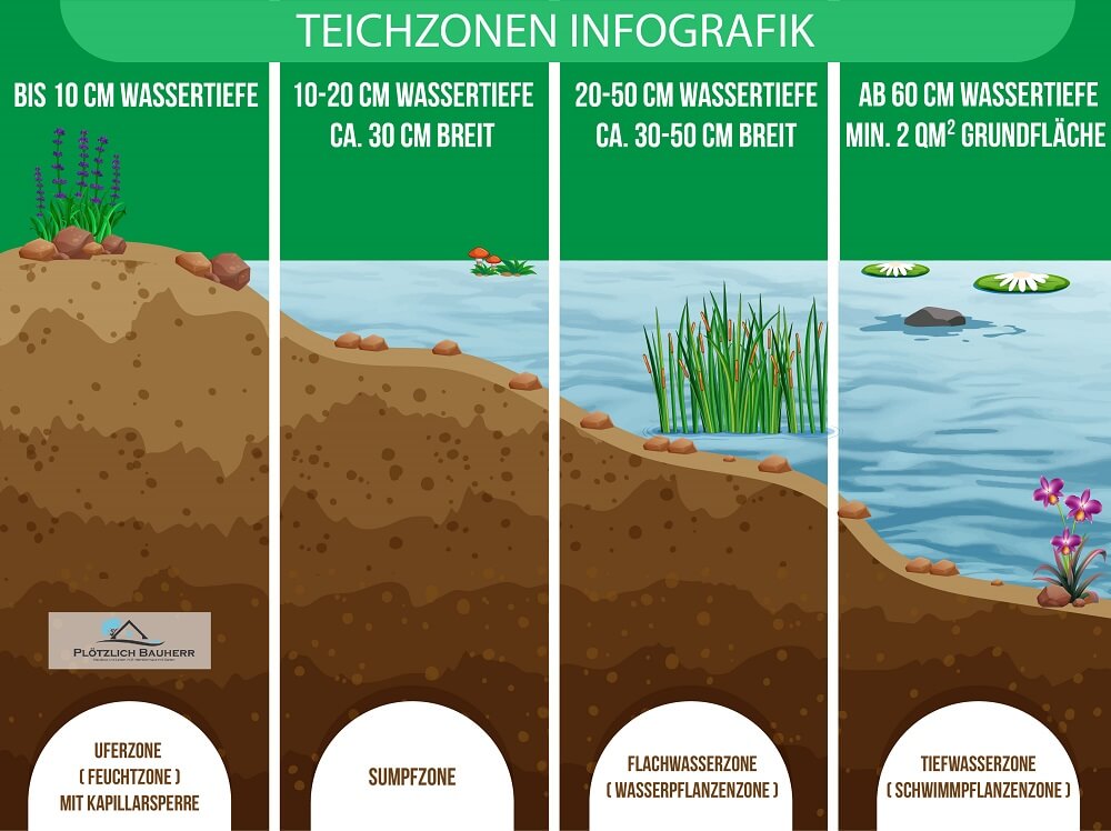 Teichzonen Infografik - Dein Gartenteich besteht aus verschiedenen Zonen - Uferzone, Sumpfzone, Flachwasserzone und Tiefwasserzone