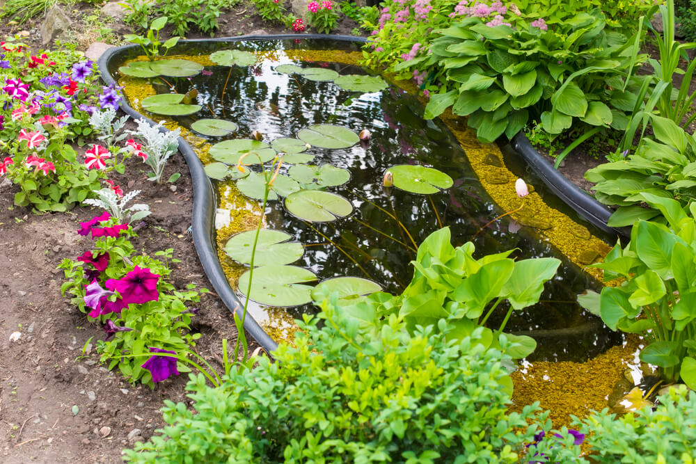 Mit einer kleinen Wanne lรคsst sich der Miniteich auch im Garten hervorragend unterbringen