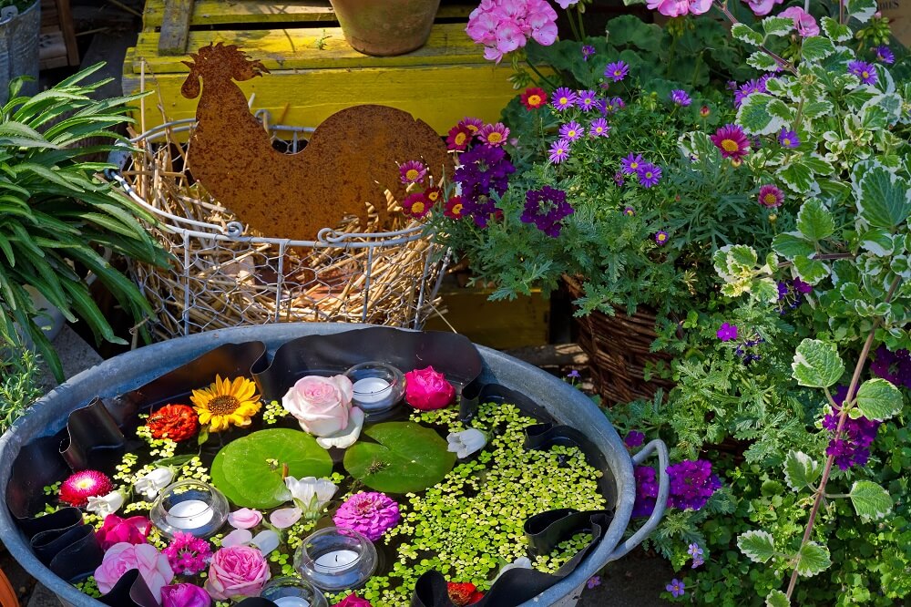 Ein Gartenteich auf dem Balkon? Dank Zinkwanne oder Pflanzkรผbel ist das sogar ohne Garten jederzeit mรถglich