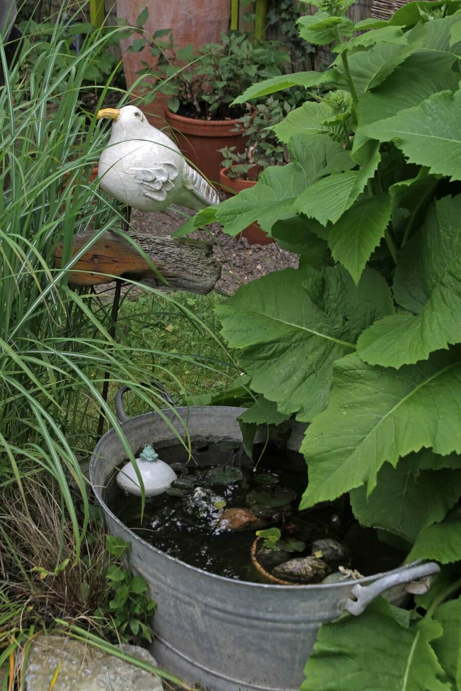 Neben einem Pflanz- und Mรถrtelkรผbel eignen sich Zinkwannen ideal fรผr einen kleinen Hochteich
