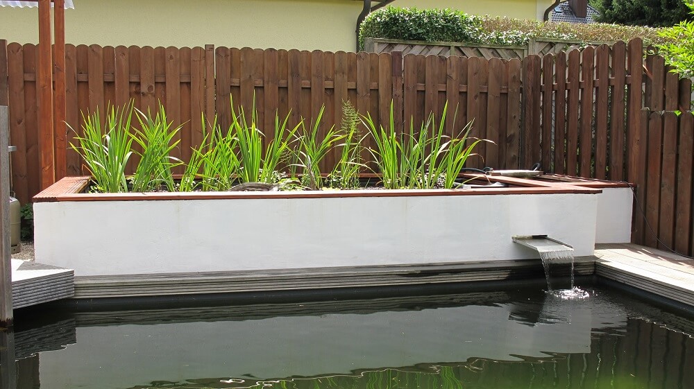 Filtergraben selber bauen - Pflanzen in Filtergräben binden Nährstoffe und verhindern so Algenbildung