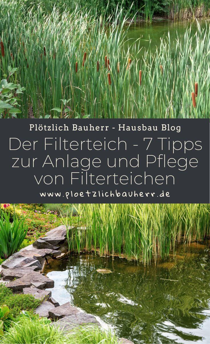 Der Filterteich - 7 Tipps zur Anlage und Pflege von Filterteichen