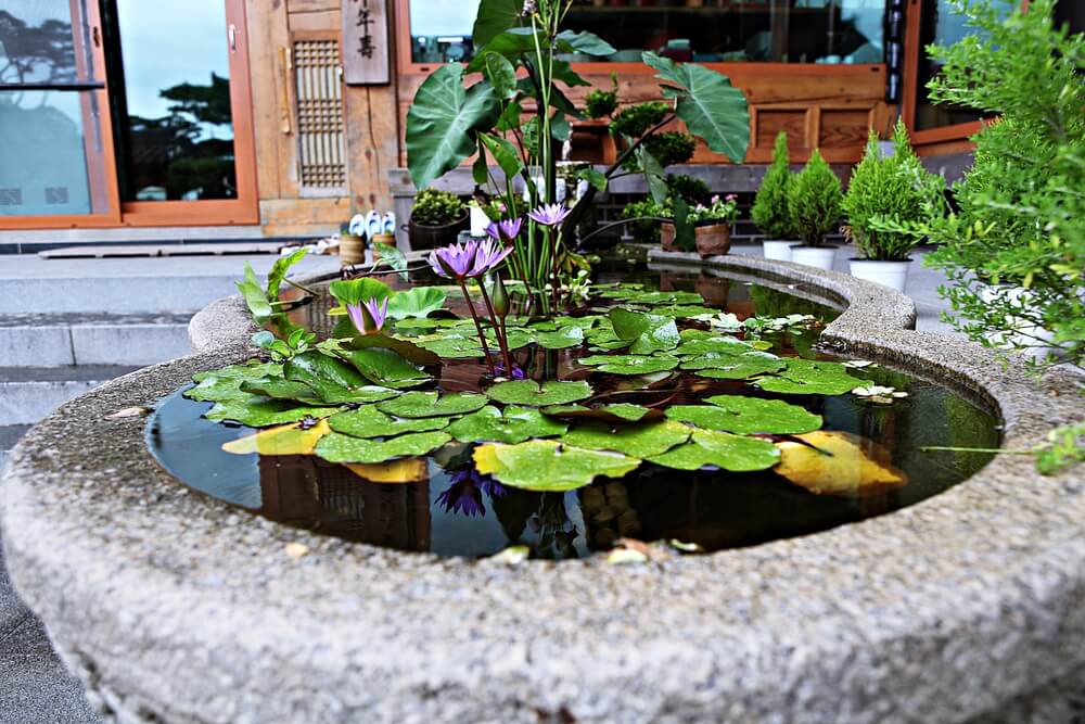 Ein freistehender Hochteich ist optisch toll, allerdings nur für die Sommermonate geeignet, da er im Winter zu friert