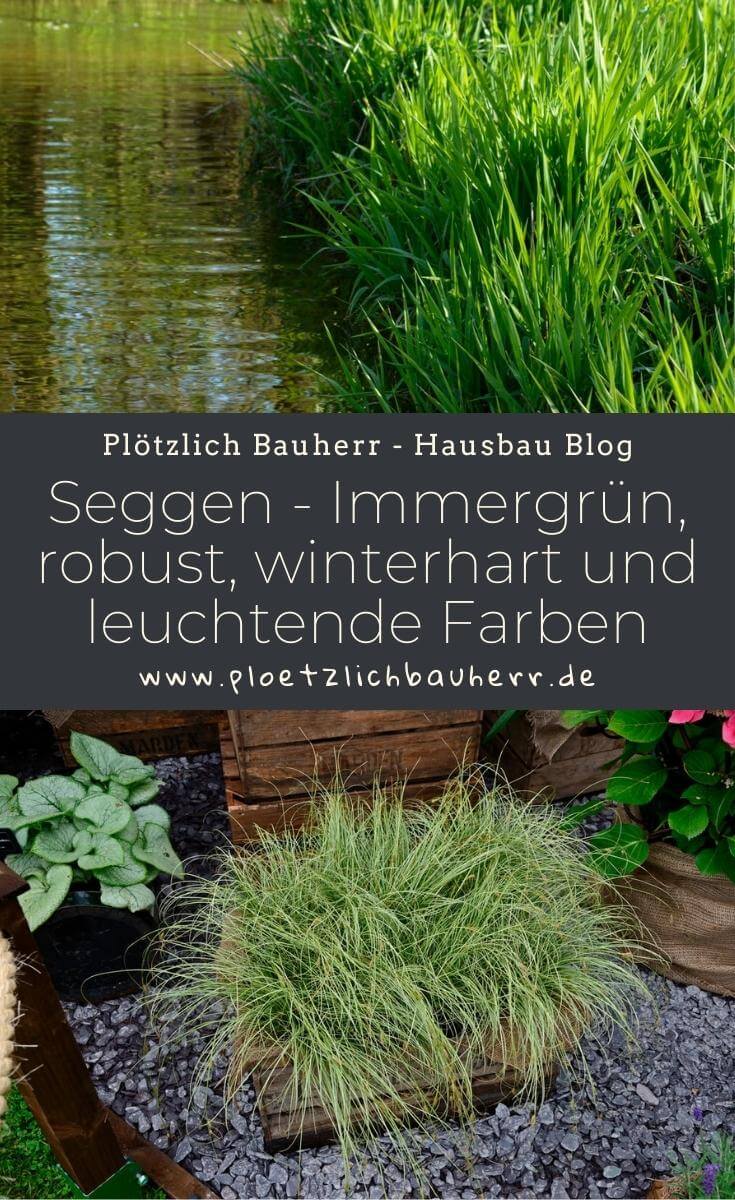 - Immergrün, robust, winterhart und leuchtend in den Farben - Diese Wasserpflanze darf in keinem Gartenteich fehlen