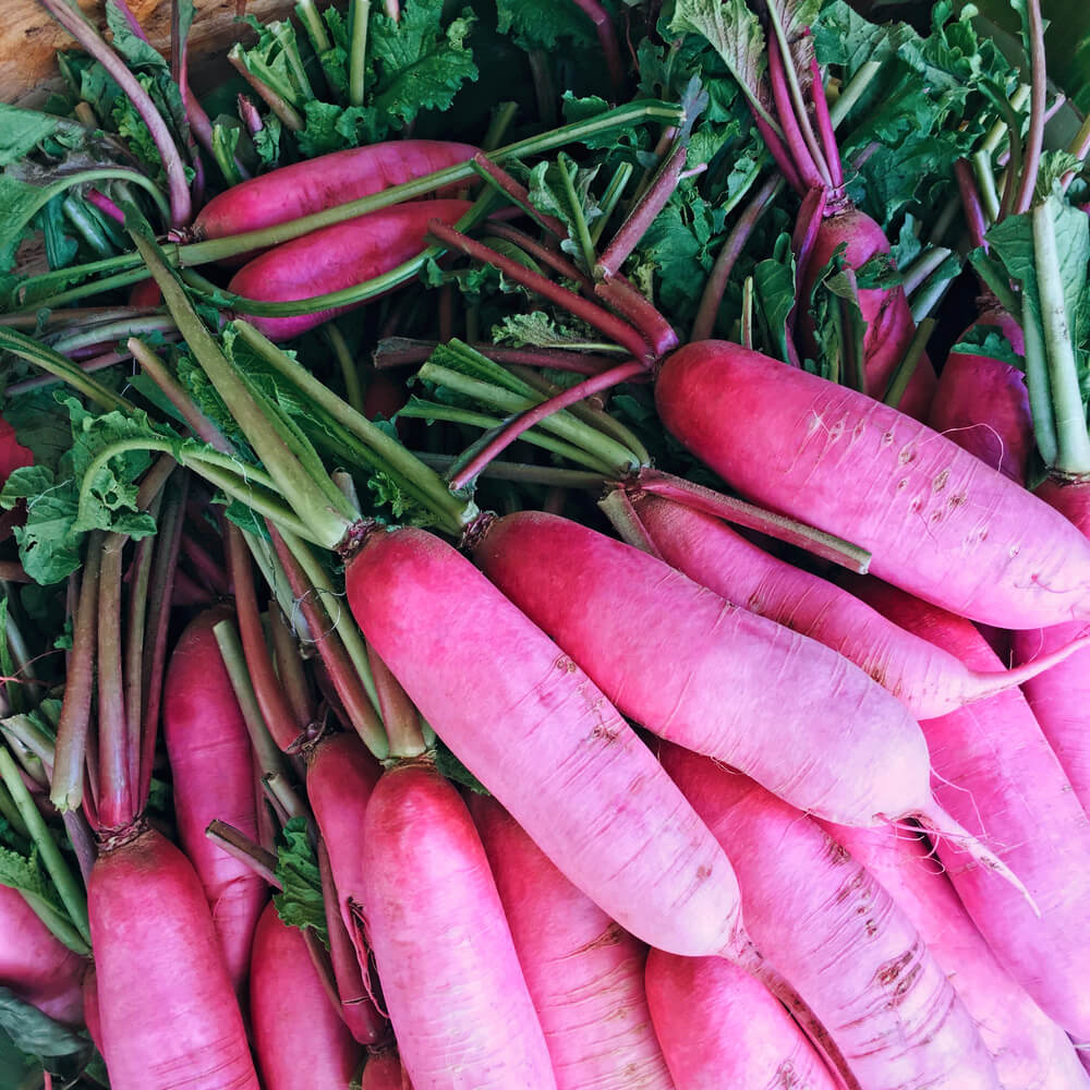 Rettich im Hochbeet - Die Aussaat erfolgt idealerweise im Frühjahr bei 14 Grad